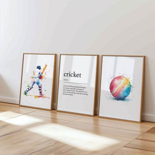 Personalised Cricket Definition Poster Set